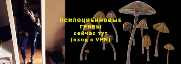 apvp Абинск