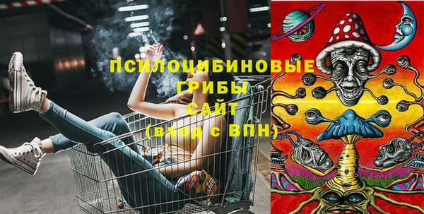 apvp Абинск