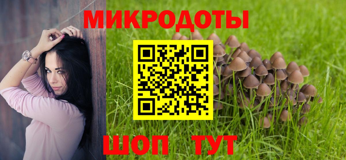 Алейск  Псилоцибиновые грибы мухоморы  цены наркотик  Вход с VPN 
