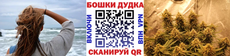 Бошки марихуана SATIVA & INDICA  цены наркотик  Алейск 